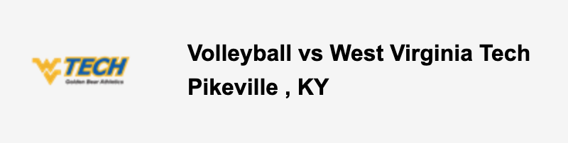 volleyball