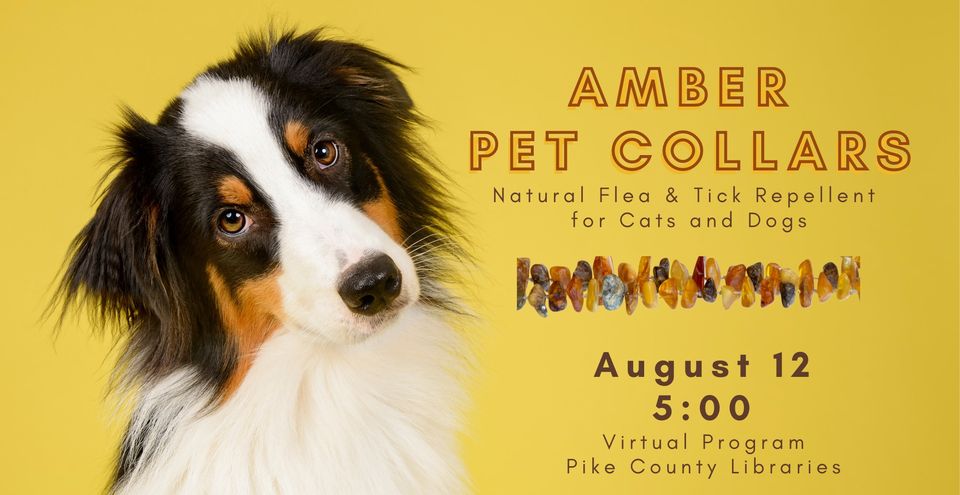 pet collars