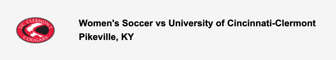 soccer game