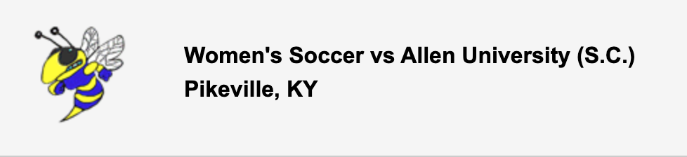 soccer game