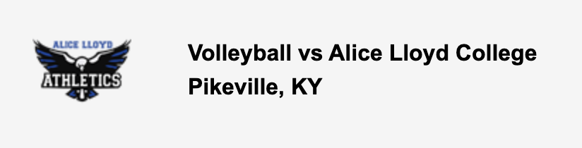 volleyball game