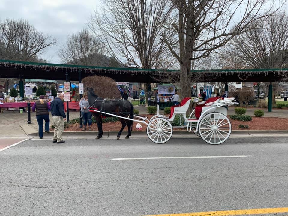 carriage