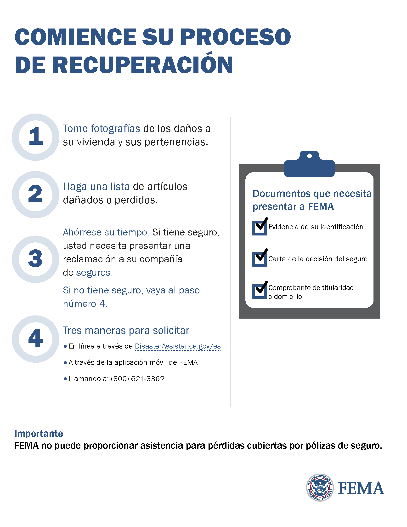Recovery Process (Spanish)